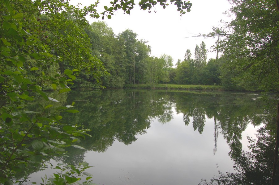 Etang  louer n3
