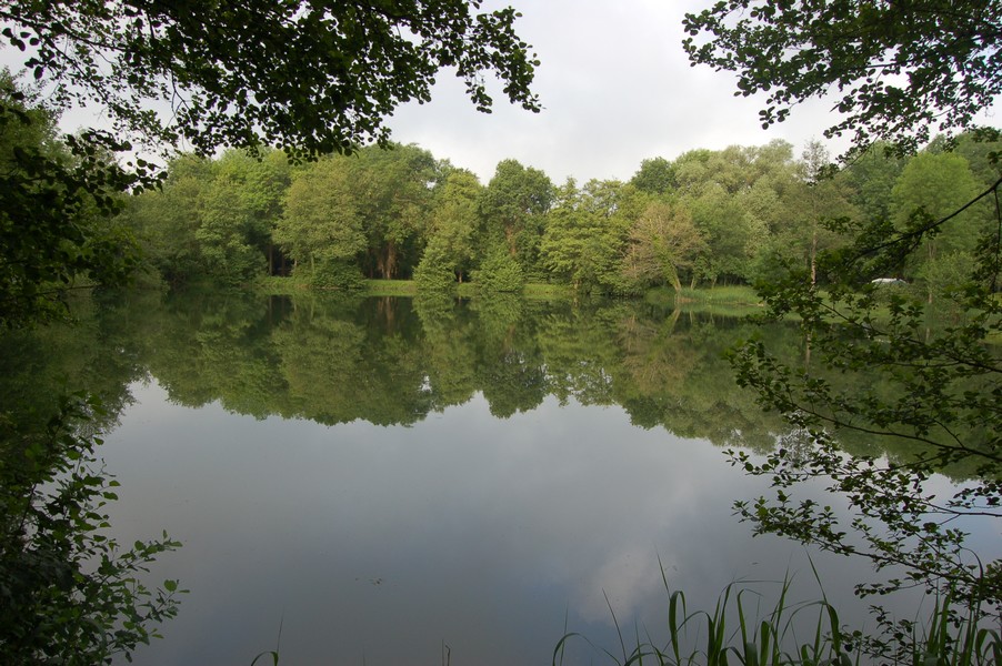 Etang  louer n3