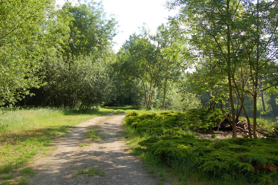 Etang  louer n3