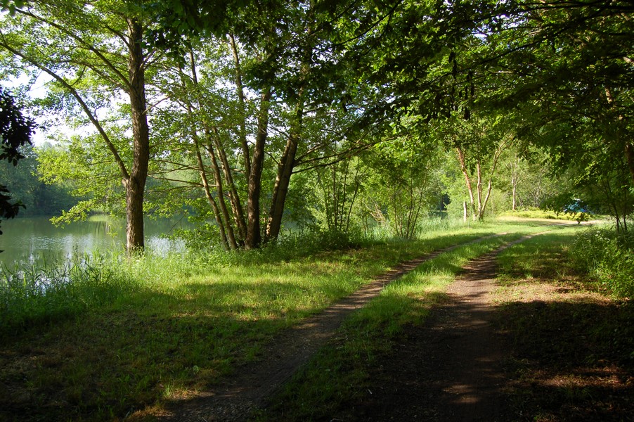 Etang  louer n3