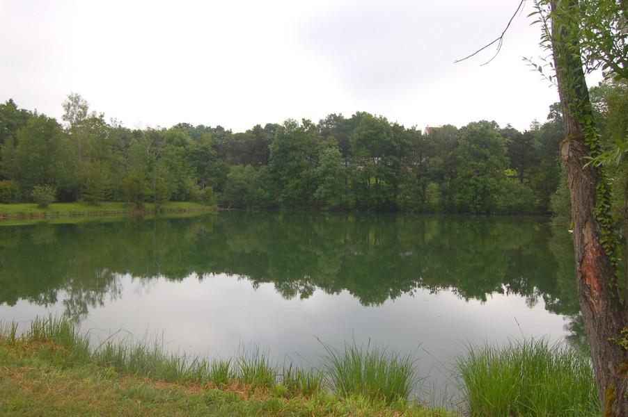 Locations d'etangs