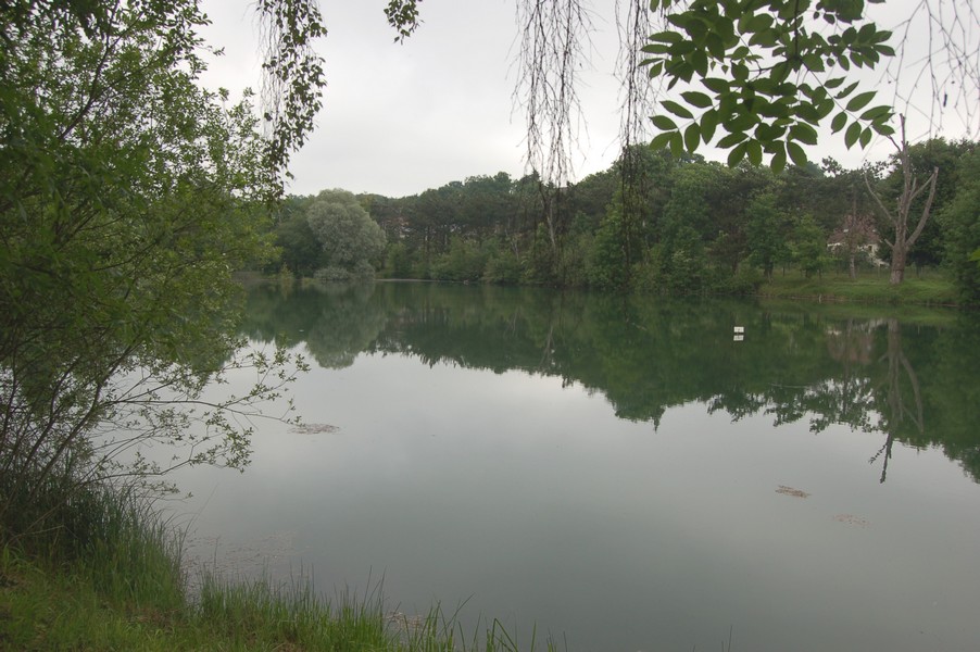 Locations d'etangs