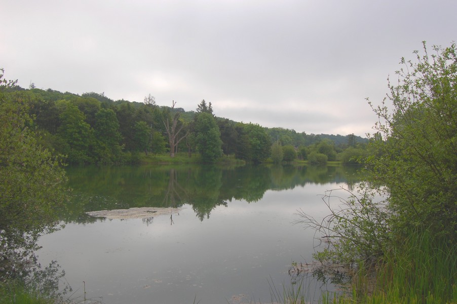 Locations d'etangs