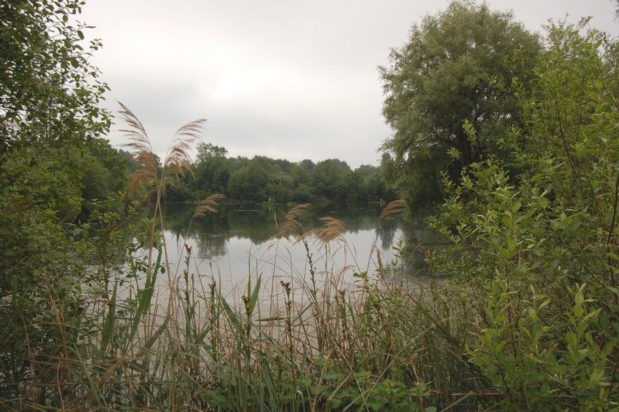 Locations d'etangs