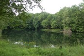  Etang  louer n3