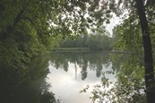  Etang  louer n3