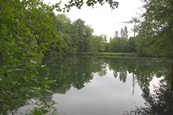  Etang  louer n3