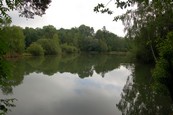  Etang  louer n3