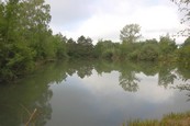  Etang à louer n°4