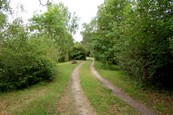  Etang ° louer n°4