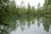  Etang  louer n3