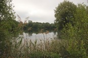  Etang  louer n3