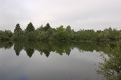  Etang  louer n3