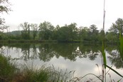  Etang  louer n3