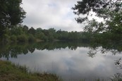  Etang  louer n3