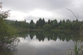  Etang  louer n3
