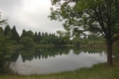  Etang  louer n3