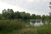  Etang  louer n3