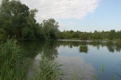  Etang  louer n3